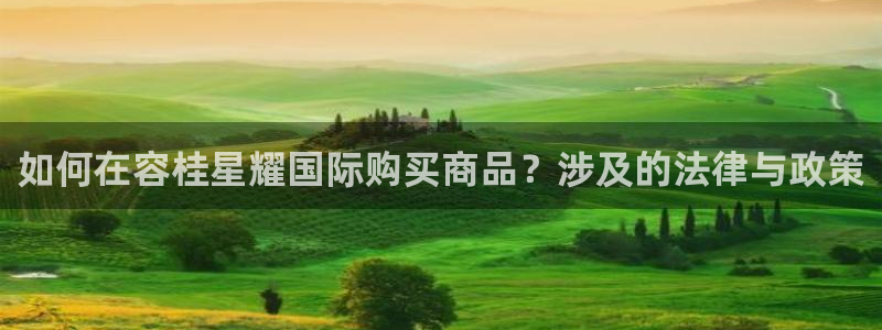 摩根娱乐(com.youad.authst)：如何在容桂星耀国际购买商品？涉及的法律与政策