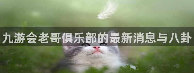 摩根娱乐加拿大官网