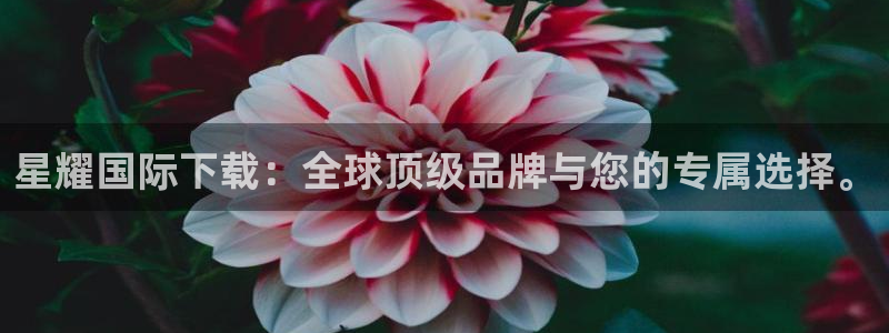 摩根娱乐网站：星耀国际下载：全球顶级品牌与您的专属选择。