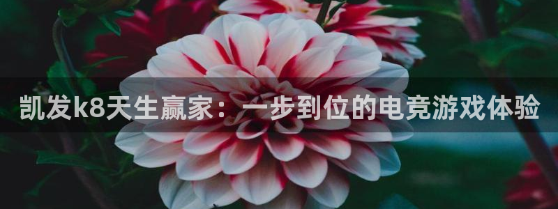 摩根娱乐在线下载：凯发k8天生赢家：一步到位的电竞游戏体验