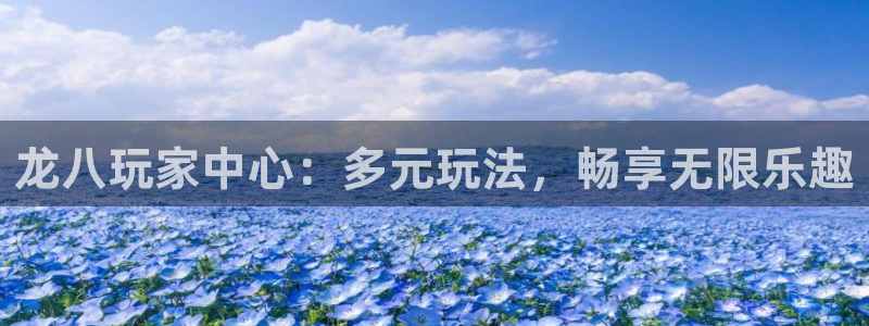 摩根娱乐下载：龙八玩家中心：多元玩法，畅享无限乐趣