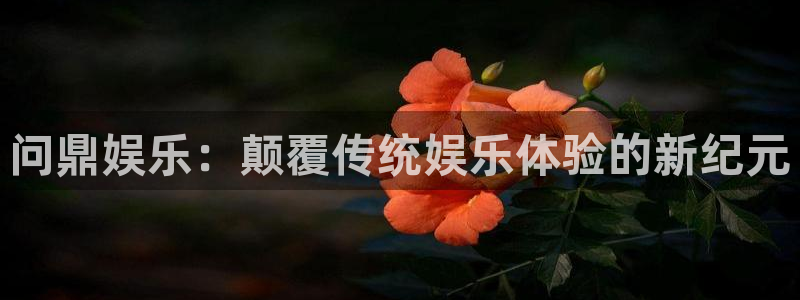 pg摩根娱乐平台下载入口：问鼎娱乐：颠覆传统娱乐体验的新纪元