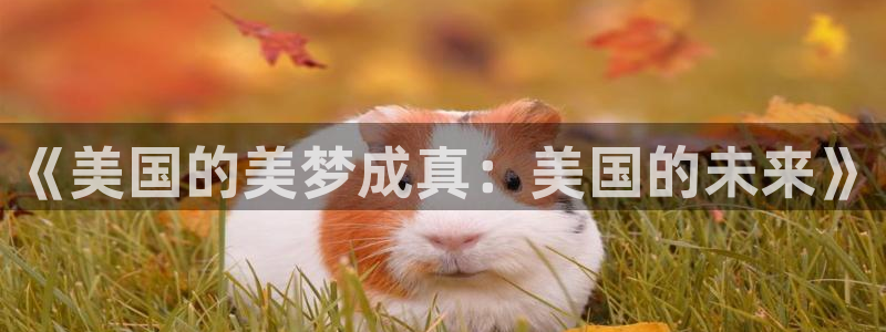 摩根娱乐ccm麻将胡了：《美国的美梦成真：美国的未来》