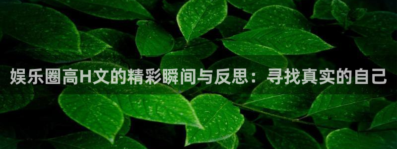 摩根娱乐有梦你就来：娱乐圈高H文的精彩瞬间与反思：寻找真实的自己
