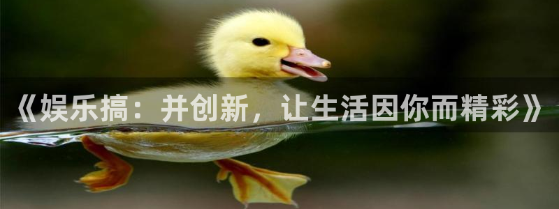 摩根娱乐是正规平台吗：《娱乐搞：并创新，让生活因你而精彩》