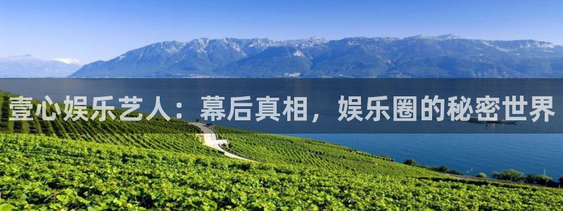 摩根娱乐.ccm苹果版：壹心娱乐艺人：幕后真相，娱乐圈的秘密世界