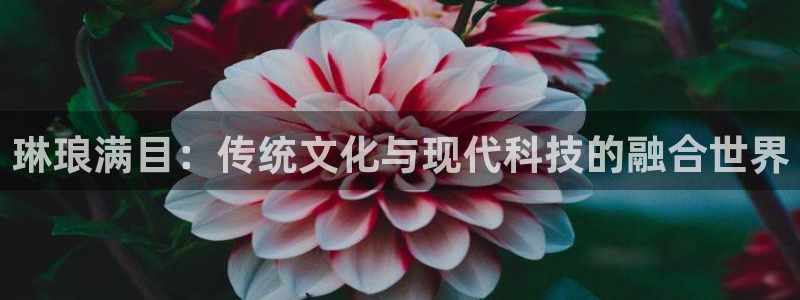 摩根娱乐放水时间：琳琅满目：传统文化与现代科技的融合世界