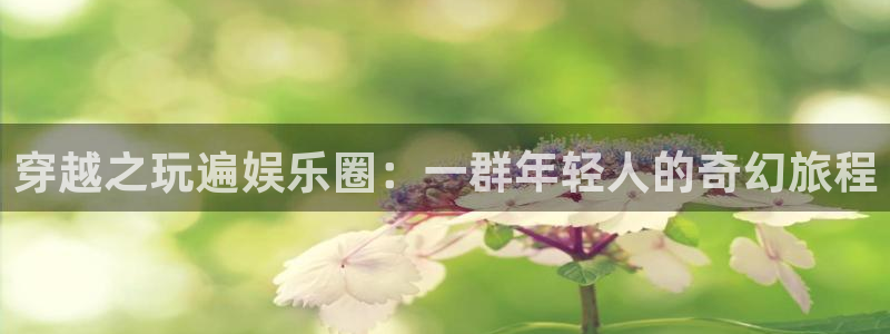 摩根娱乐麻将胡了：穿越之玩遍娱乐圈：一群年轻人的奇幻旅程