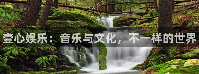 壹号平台app下载安装：壹心娱乐：音乐与文化，不一样的世界