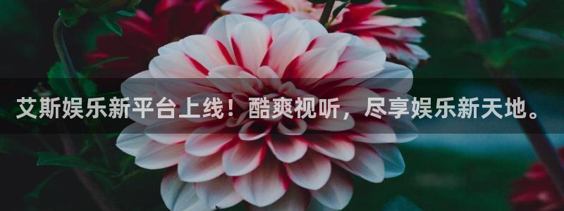 摩根娱乐下载：艾斯娱乐新平台上线！酷爽视听，尽享娱乐新天地。
