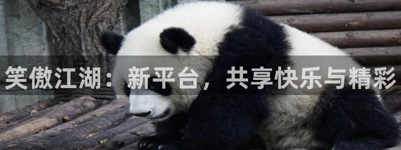 壹号大舞台怎么下载：笑傲江湖：新平台，共享快乐与精彩