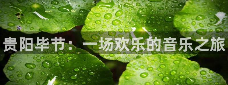 摩根娱乐登录网：贵阳毕节：一场欢乐的音乐之旅
