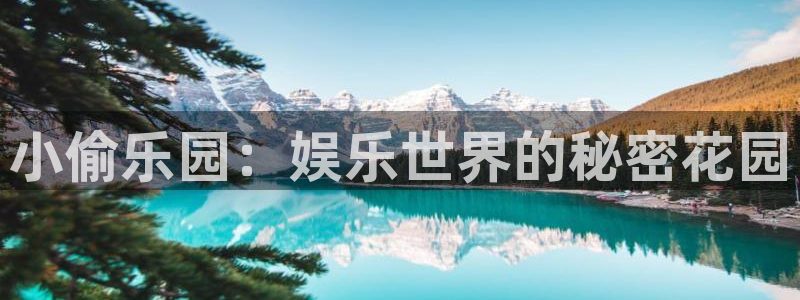 摩根娱乐平台官方入口下载：小偷乐园：娱乐世界的秘密花园