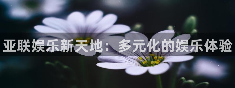摩根娱乐app新版上线体验.游戏更新入口.中国：亚联娱乐新天地：多元化的娱乐体验
