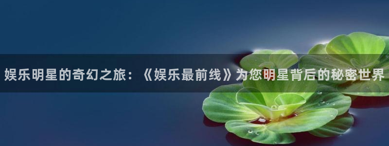 摩根娱乐电玩网官网入口