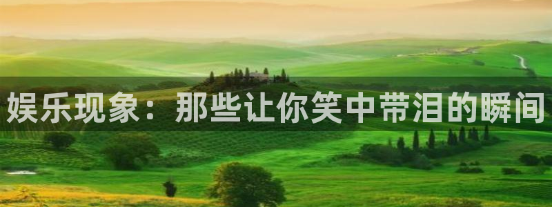 摩根娱乐加拿大：娱乐现象：那些让你笑中带泪的瞬间