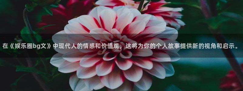 摩根娱乐手机客户端下载安装：在《娱乐圈bg文》中现代人的情感和价值观，这将为你的个人故事提供新的视角和启示。