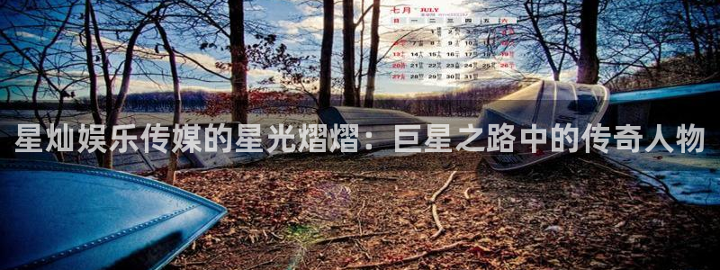 摩根娱乐平台注册：星灿娱乐传媒的星光熠熠：巨星之路中的传奇人物