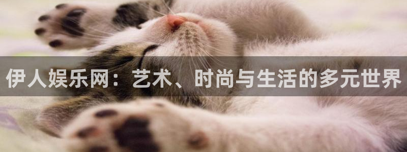 摩根娱乐平台官方入口
