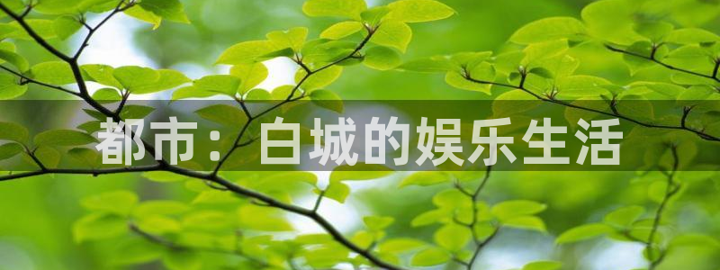 壹号电子娱乐app下载最新版本
