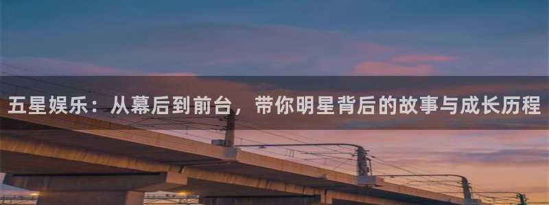 壹号app下载链接：五星娱乐：从幕后到前台，带你明星背后的故事与成长历程