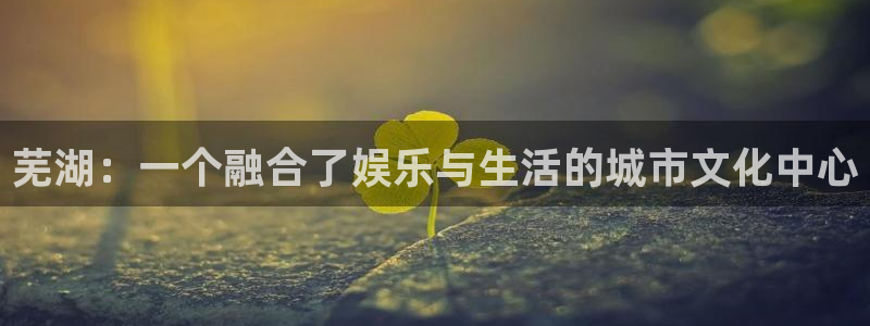 摩根娱乐是大平台吗：芜湖：一个融合了娱乐与生活的城市文化中心