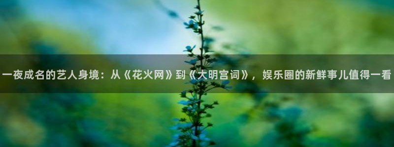 壹号电子娱乐app下载最新版：一夜成名的艺人身境：从《花火网》到《大明宫词》，娱乐圈的新鲜事儿值得一看
