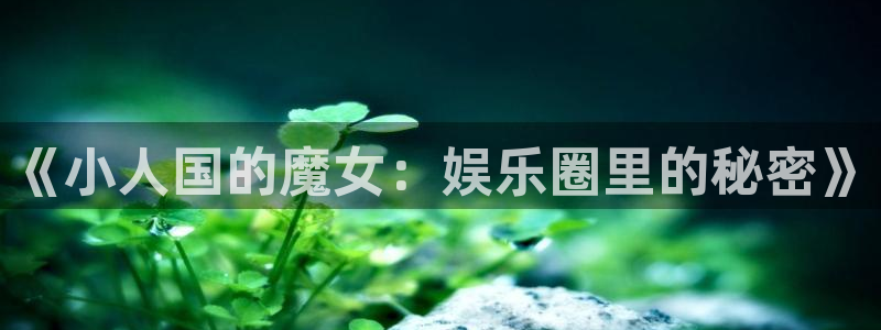 壹号app官网版下载：《小人国的魔女：娱乐圈里的秘密》