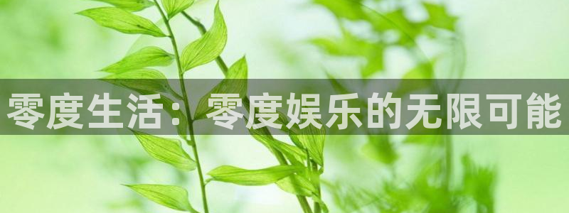 摩根娱乐平台下载入口：零度生活：零度娱乐的无限可能