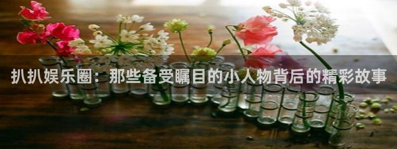 摩根娱乐是正规平台吗：扒扒娱乐圈：那些备受瞩目的小人物背后的精彩故事