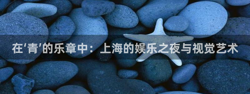 摩根娱乐平台下载入口：在‘青’的乐章中：上海的娱乐之夜与视觉艺术