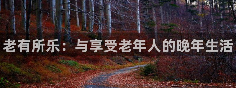 摩根娱乐ccmpc：老有所乐：与享受老年人的晚年生活