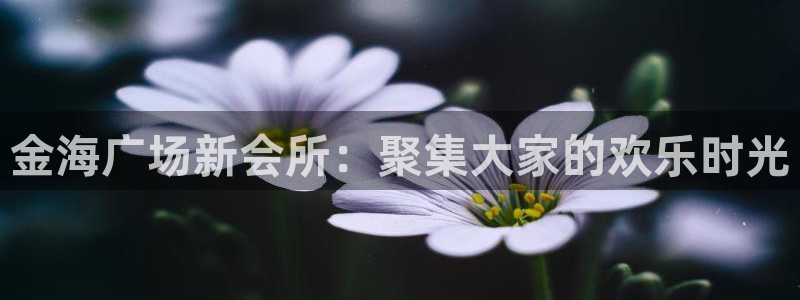 摩根娱乐娱乐