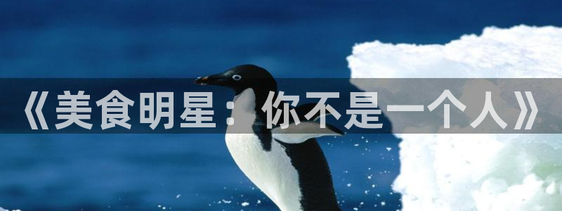 摩根娱乐app网页入口：《美食明星：你不是一个人》