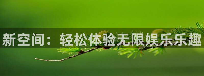摩根娱乐.com：新空间：轻松体验无限娱乐乐趣