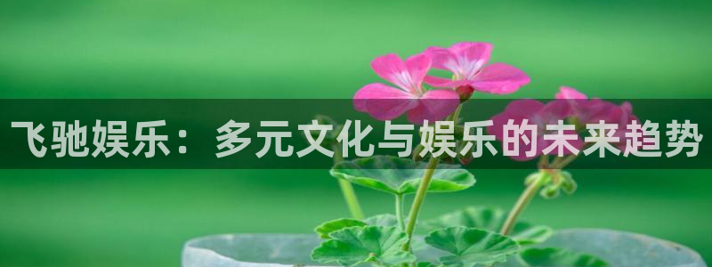 摩根娱乐注册入口：飞驰娱乐：多元文化与娱乐的未来趋势