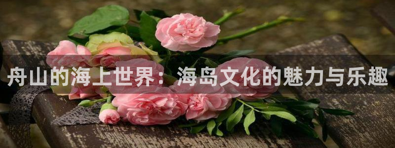 壹号大舞台官网：舟山的海上世界：海岛文化的魅力与乐趣